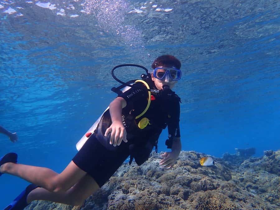 Bora Bora: Introductory Dive - Bora Bora Lagoon Intro Scuba: What You’re Really Signing Up For