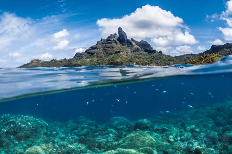 Bora Bora: Introductory Dive - Small Group Size in Bora Bora: Why Up to 8 People Changes Everything