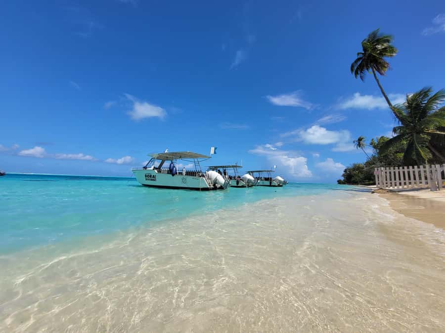 Bora Bora: Morning 2 tank dive for certified divers - Morning starts that make Bora Bora feel less touristy