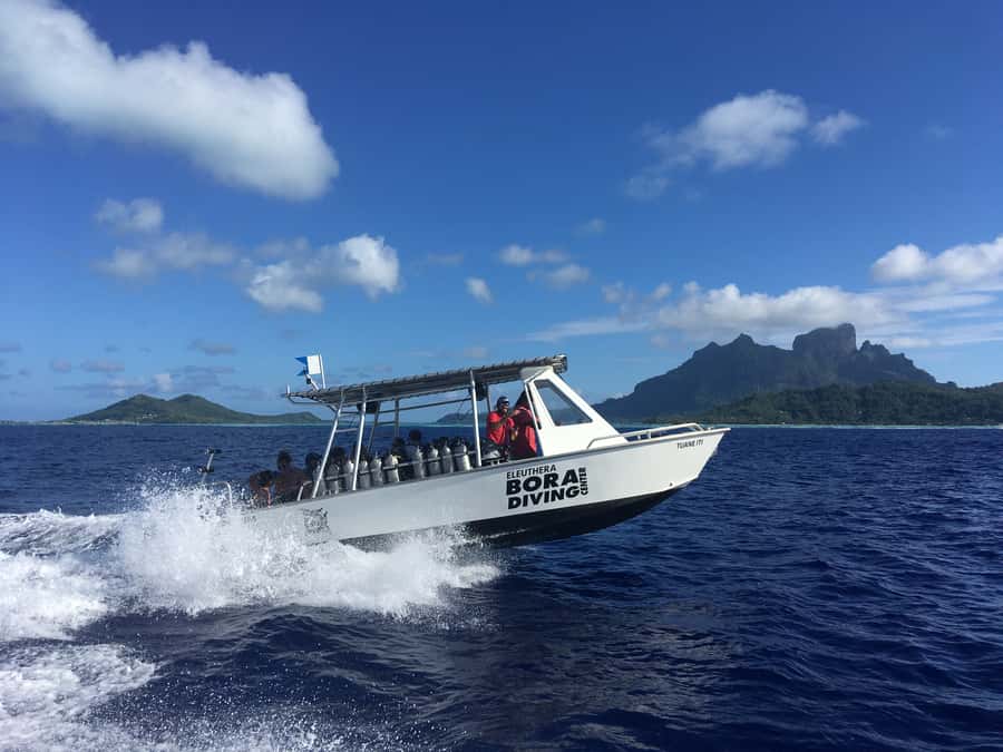 Bora Bora: Morning 2 tank dive for certified divers - The surface break: hot tea, cookies, and a breather that matters