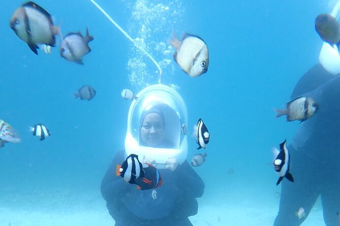 Boracay Helmet Diving - What you’ll see: close-up underwater life, at a controlled pace