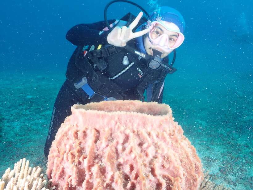 Boracay: Introduction to Scuba Diving Experience - Why Boracay’s beginner scuba session feels manageable
