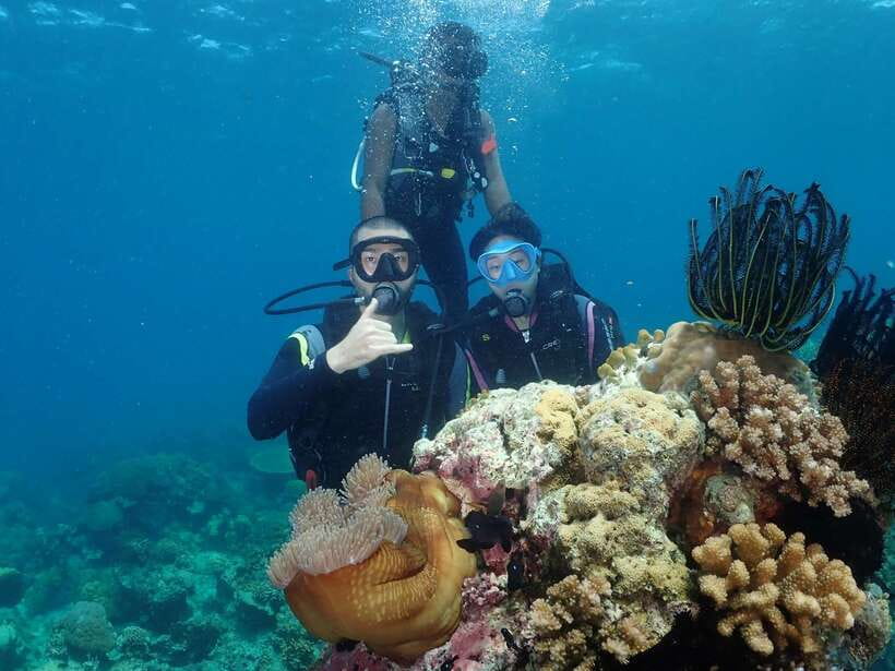 Boracay: Introduction to Scuba Diving Experience - Theory and safety briefing: what you’ll actually learn first