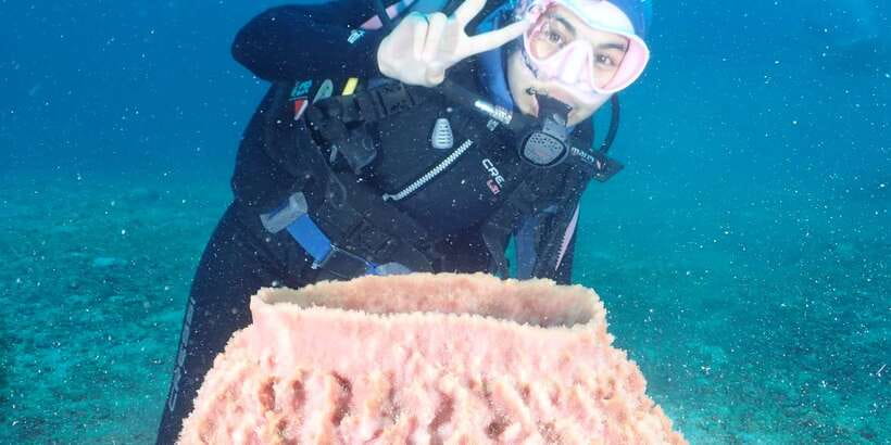 Boracay: Introduction to Scuba Diving Experience - How the guides keep things safe (and calm)