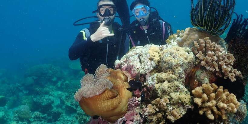 Boracay: Introduction to Scuba Diving Experience - Photos, videos, and your completion certificate
