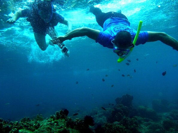 Boracay Island Hopping + Hot Kawa + Parasailing + Helmet Diving - Key takeaways before you go