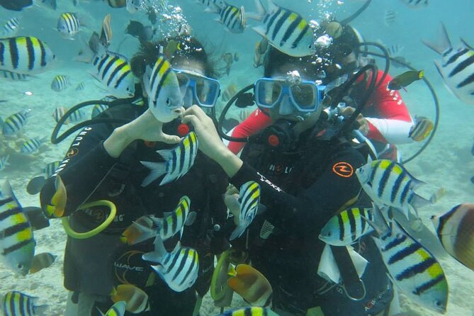 Boracay PADI Discover Scuba Diving - Shallow-Water Skills: Breathing, Mask Water, and Fin Kicks