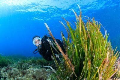 Bosa: Scuba Diving for Beginners in the Bosa Gulf - Dinghy transfer in Bosa: why that boat ride is part of the value