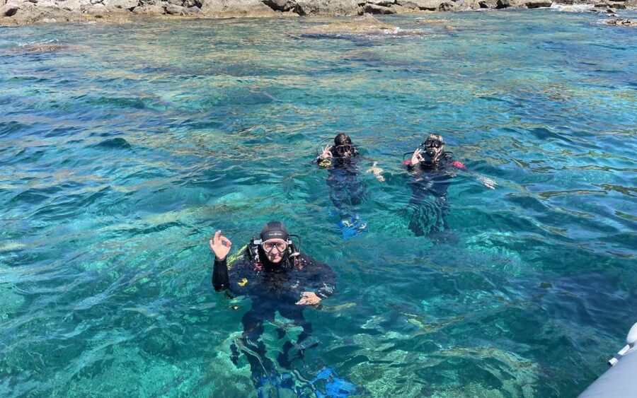 Bosa: Scuba Diving for Beginners in the Bosa Gulf - Price and value: what $134.81 includes (and what it doesn’t)