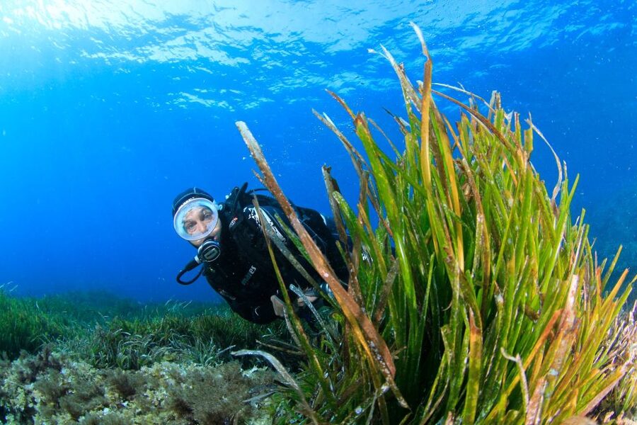 Bosa: Scuba Diving for Beginners in the Bosa Gulf - Dinghy transfer in Bosa: why that boat ride is part of the value
