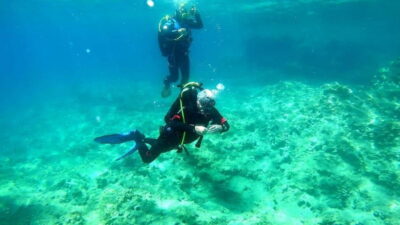 Budva: Scuba Diving Experience - The 0.2-hour catamaran ride: quick scenic time, then you’re in the action