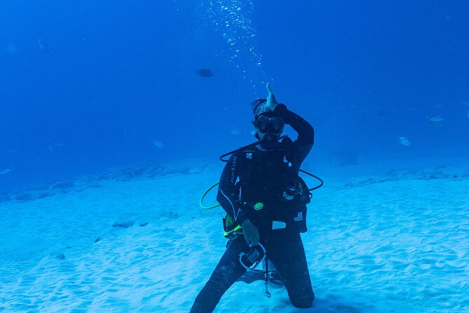 Bull Shark Dive in Playa del Carmen – Dive Machine Experience - Reef time with turtles, stingrays, and coral