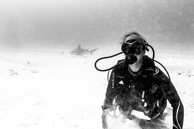 Bull Shark Dive in Playa del Carmen – Dive Machine Experience - Universal Inclusion: what it means in real-world terms