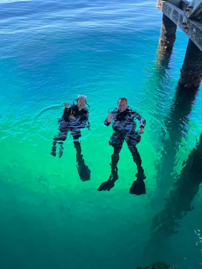 Busselton: Jetty Scuba Dive Tours with Underwater Sculptures - Busselton Jetty and the Sculpture Trail: why this site grabs you