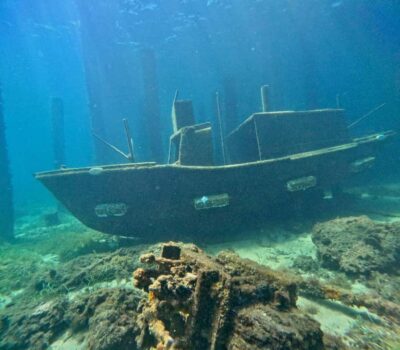 Busselton: Jetty Scuba Dive Tours with Underwater Sculptures - Your 2-hour schedule, from foreshore check-in to the sculptures