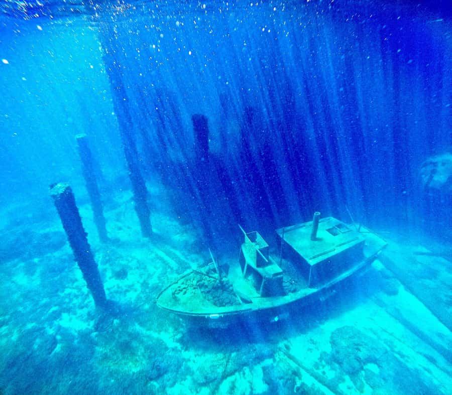 Busselton: Jetty Scuba Dive Tours with Underwater Sculptures - Who should book this, and who should skip it
