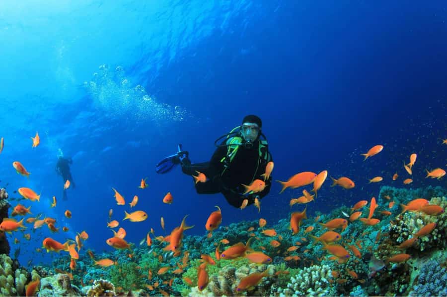 Buzios - DIVING EXPERIENCE - Key things to know before you go