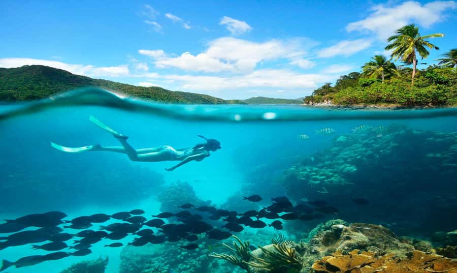 Buzios - DIVING EXPERIENCE - Snorkeling Arrecife in Búzios: what makes this reef time worth it