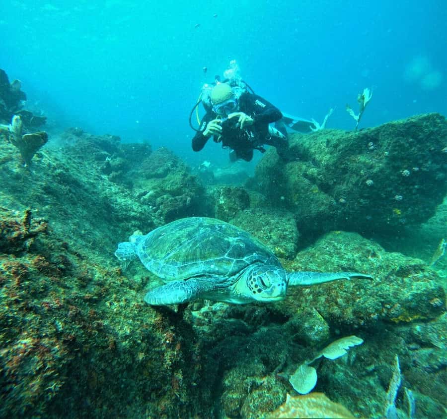 Buzios - DIVING EXPERIENCE - Theory on land and adaptation in water: beginner-friendly without babysitting