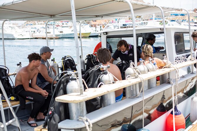 Cabo San Lucas 2 Tank Scuba Diving - Price and Value for a Two-Tank, Boat-Based Day
