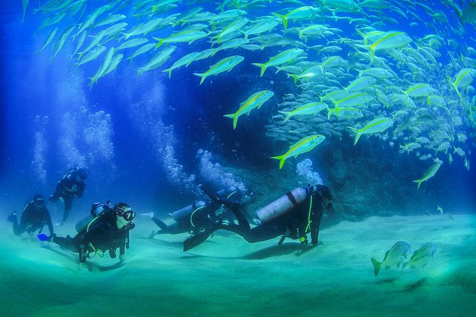 Cabo San Lucas Certified 2 Tank Dive at the Famous Arch and Land's End - Key highlights that matter on this outing
