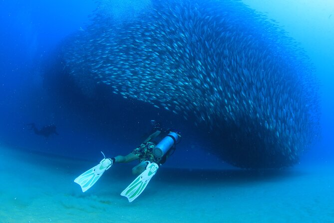 Cabo San Lucas Certified 2 Tank Dive at the Famous Arch and Land's End - Equipment, extra fees, and what $129 really covers