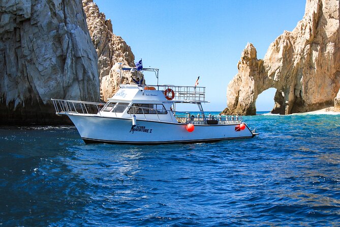 Cabo San Lucas Certified 2 Tank Dive at the Famous Arch and Land's End - Who this outing suits best (and who should skip it)