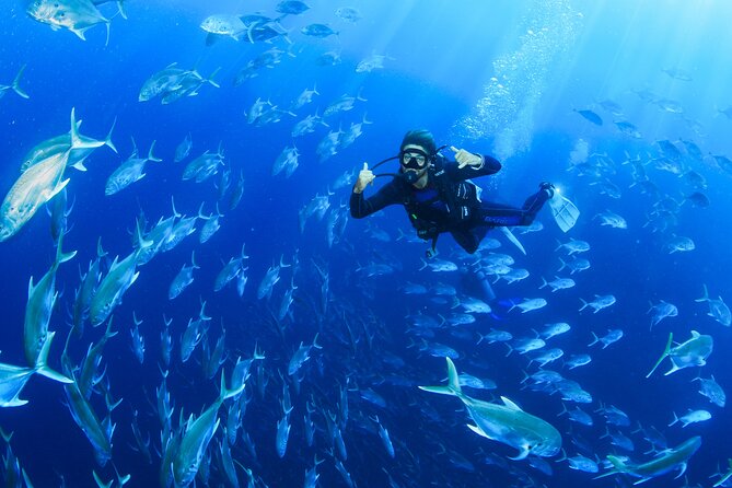 Cabo San Lucas Certified 2 Tank Dive at the Famous Arch and Land's End - El Arco de Cabo San Lucas: the arch you came for