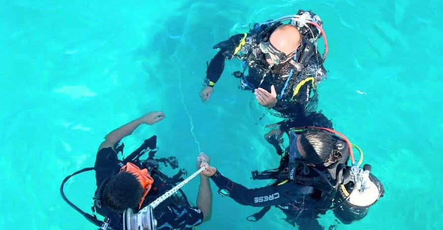 Cagliari: Discover scuba diving for Beginners - Key highlights worth caring about
