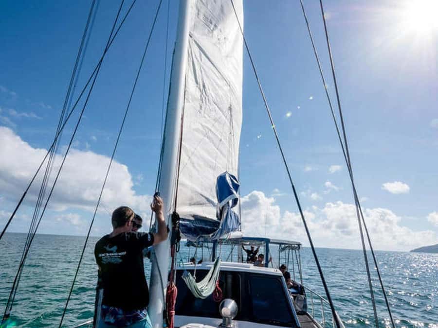 Cairns: 2-Day Great Barrier Reef Dive and Snorkel Boat Trip - Key highlights that matter (not just marketing words)