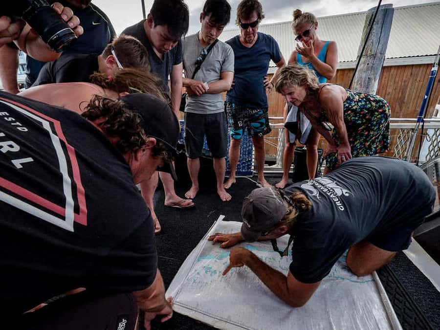 Cairns: 2-Day Great Barrier Reef Dive and Snorkel Boat Trip - Onboard comfort: air-conditioning, hot showers, linen, and real meals