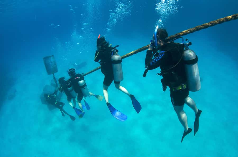 Cairns: 4-Day PADI Open Water Course - Who this course is best for