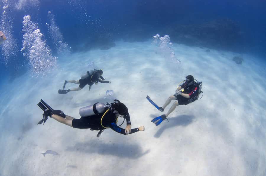 Cairns: 4-Day PADI Open Water Course - Price and value: what $704 covers (and why that matters)