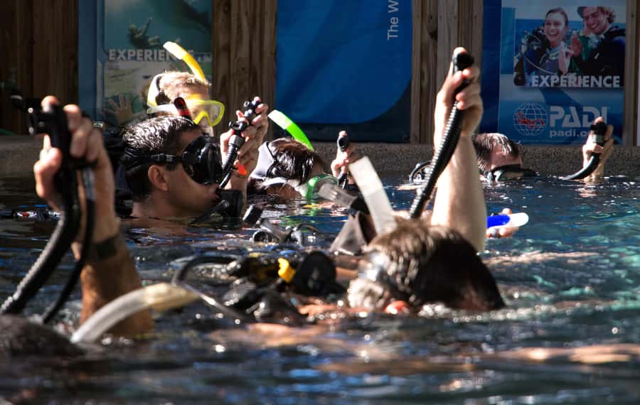 Cairns: 4-Day PADI Open Water Course - What to bring, and what to skip