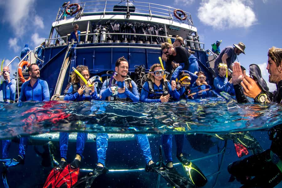 Cairns: Best Value All-inclusive Reef Trip With Scuba Dive - Onboard Food: Why Breakfast, BBQ Lunch, and Wine Are Part of the Value