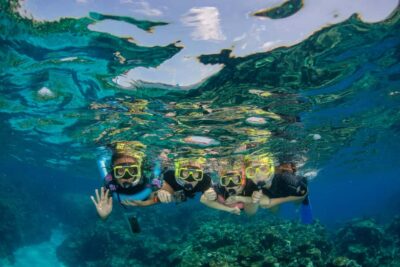 Cairns: Best Value All-inclusive Reef Trip With Scuba Dive - Reef Time Layout: Two Stops, Snorkel Freedom, and Optional Extra Underwater Sessions