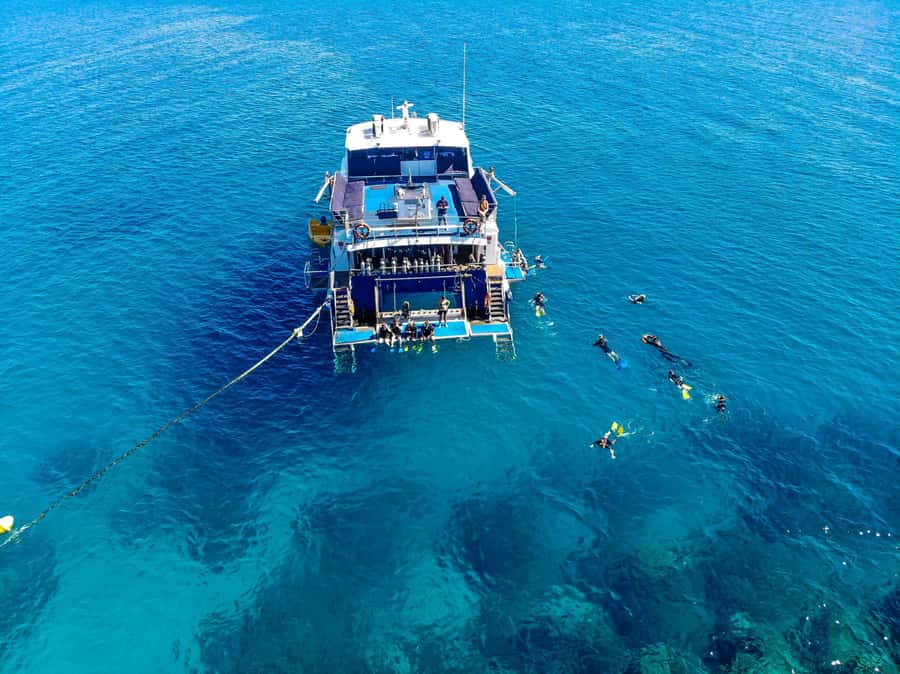 Cairns: Best Value All-inclusive Reef Trip With Scuba Dive - Crew, Safety, and Intro Underwater Support: Names I Noticed