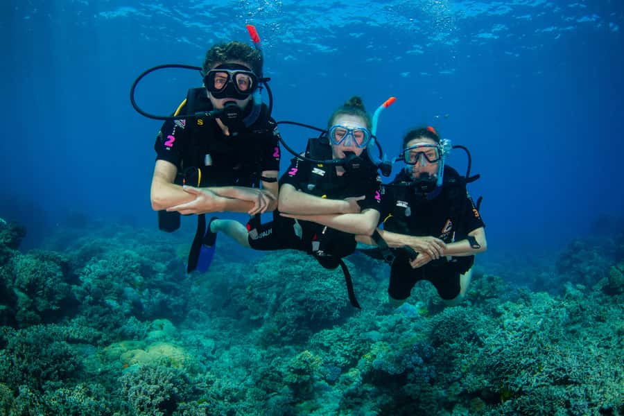 Cairns: Best Value All-inclusive Reef Trip With Scuba Dive - What You Can See on the Great Barrier Reef (And Why Conditions Change Everything)