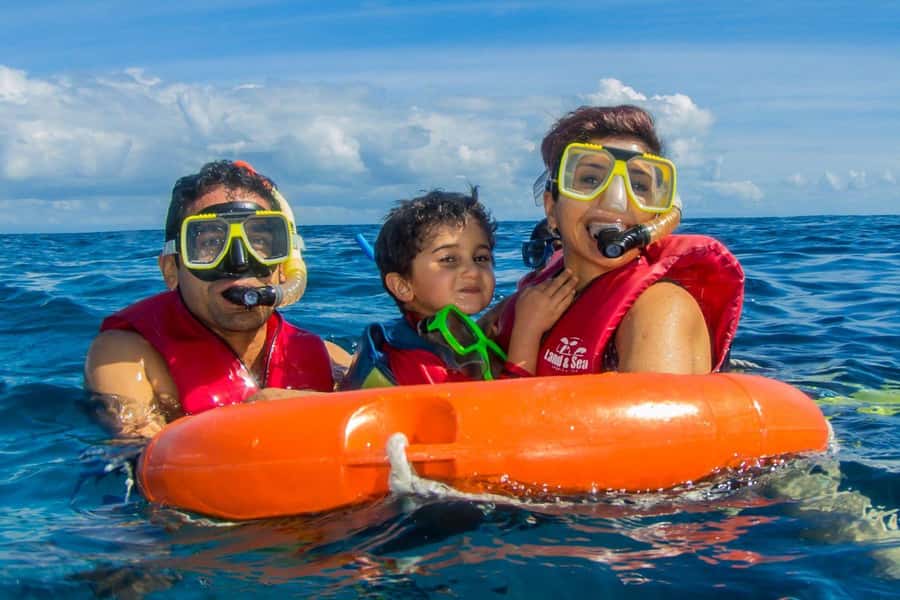 Cairns: Best Value All-inclusive Reef Trip With Scuba Dive - Price and Value: Is $184 a Smart Bet in Cairns?