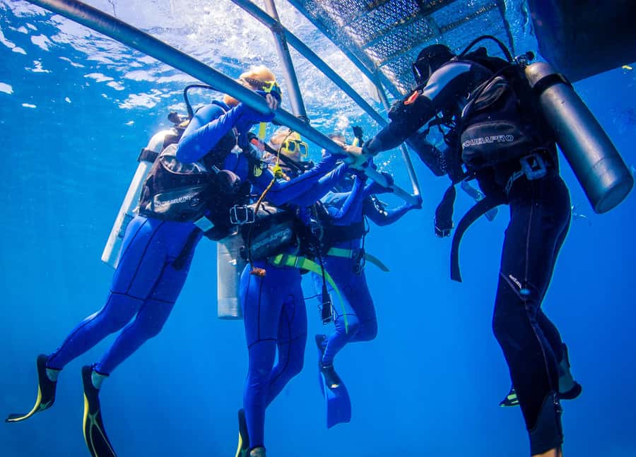 Cairns: Best Value All-inclusive Reef Trip With Scuba Dive - Should You Book Reef Experience From Cairns?