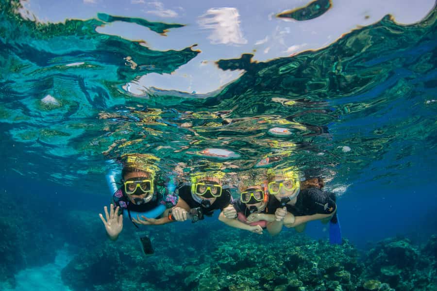 Cairns: Best Value All-inclusive Reef Trip With Scuba Dive - Reef Time Layout: Two Stops, Snorkel Freedom, and Optional Extra Underwater Sessions