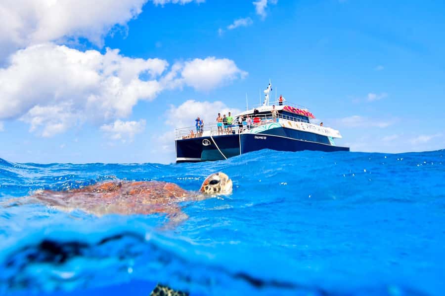 Cairns: Great Barrier Reef Premium Diving Full Day Tour - What’s included (and why it affects your value)