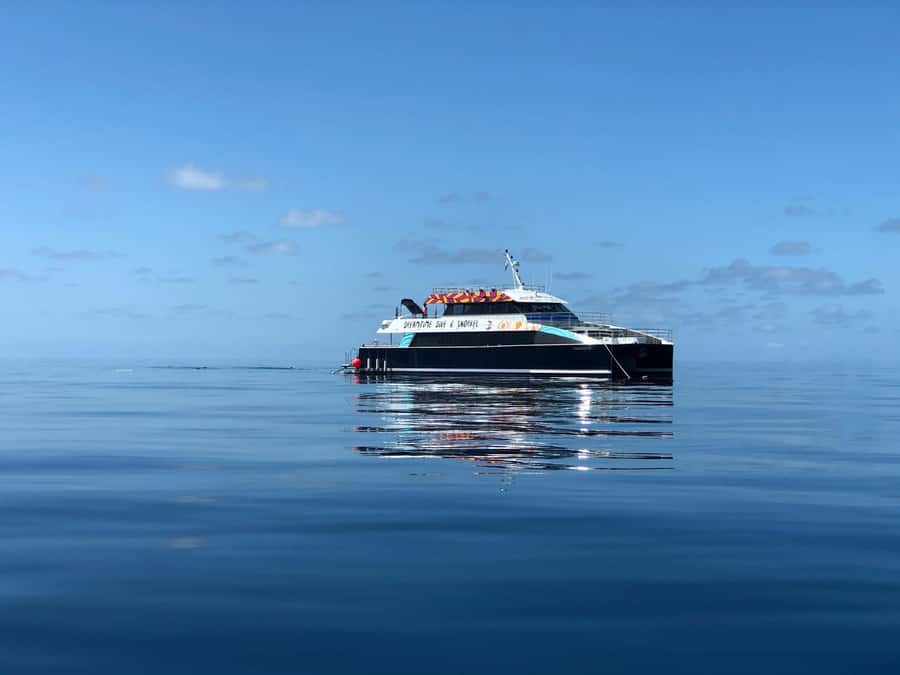 Cairns: Great Barrier Reef Premium Diving Full Day Tour - Your day on the boat: reef science + Indigenous stories