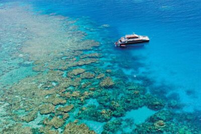 Cairns: Great Barrier Reef Premium Diving Full Day Tour - Getting to Cairns Marlin Marina: the one logistics hurdle