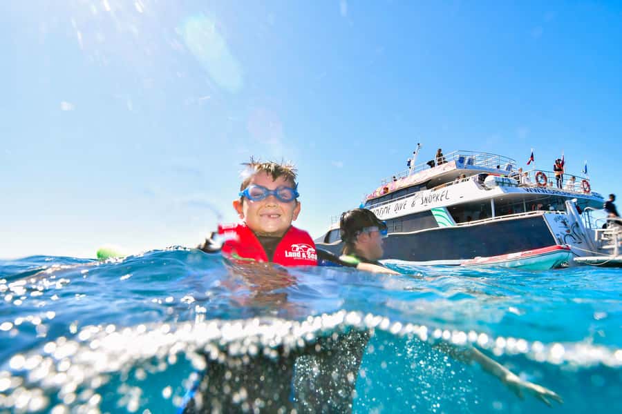 Cairns: Great Barrier Reef Premium Diving Full Day Tour - Reef stop #2: bigger wildlife chances