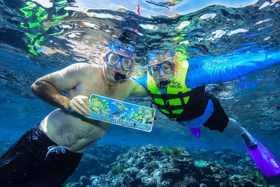 Cairns: Great Barrier Reef Premium Diving Full Day Tour - Safety and sea-sickness reality check (do this, and you’ll enjoy more)