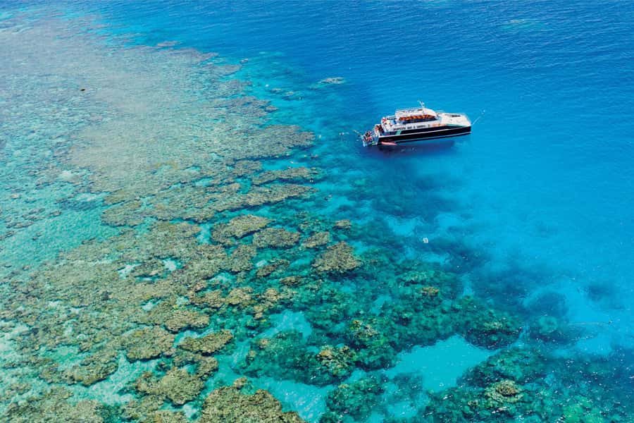 Cairns: Great Barrier Reef Premium Diving Full Day Tour - Getting to Cairns Marlin Marina: the one logistics hurdle