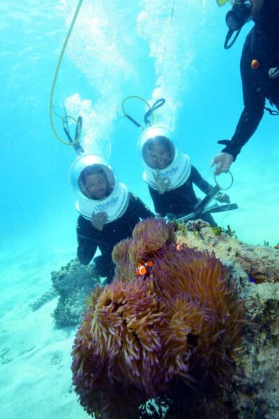Cairns: Green Island and Seawalker Helmet Dive Combo - Green Island: coral cay time plus rainforest-style wandering