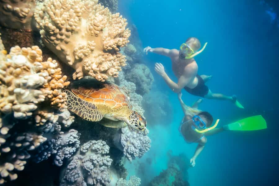 Cairns: Green Island and Seawalker Helmet Dive Combo - Should you book this Cairns: Green Island + Seawalker combo?