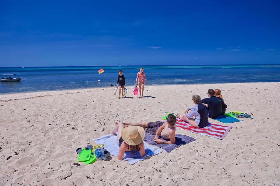 Cairns: Green Island Full-Day Tour with Diving - Key highlights you can plan around